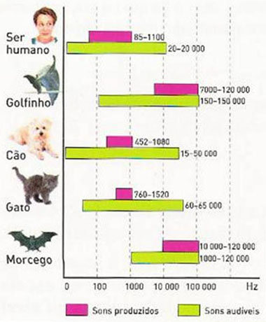 Audição Animais